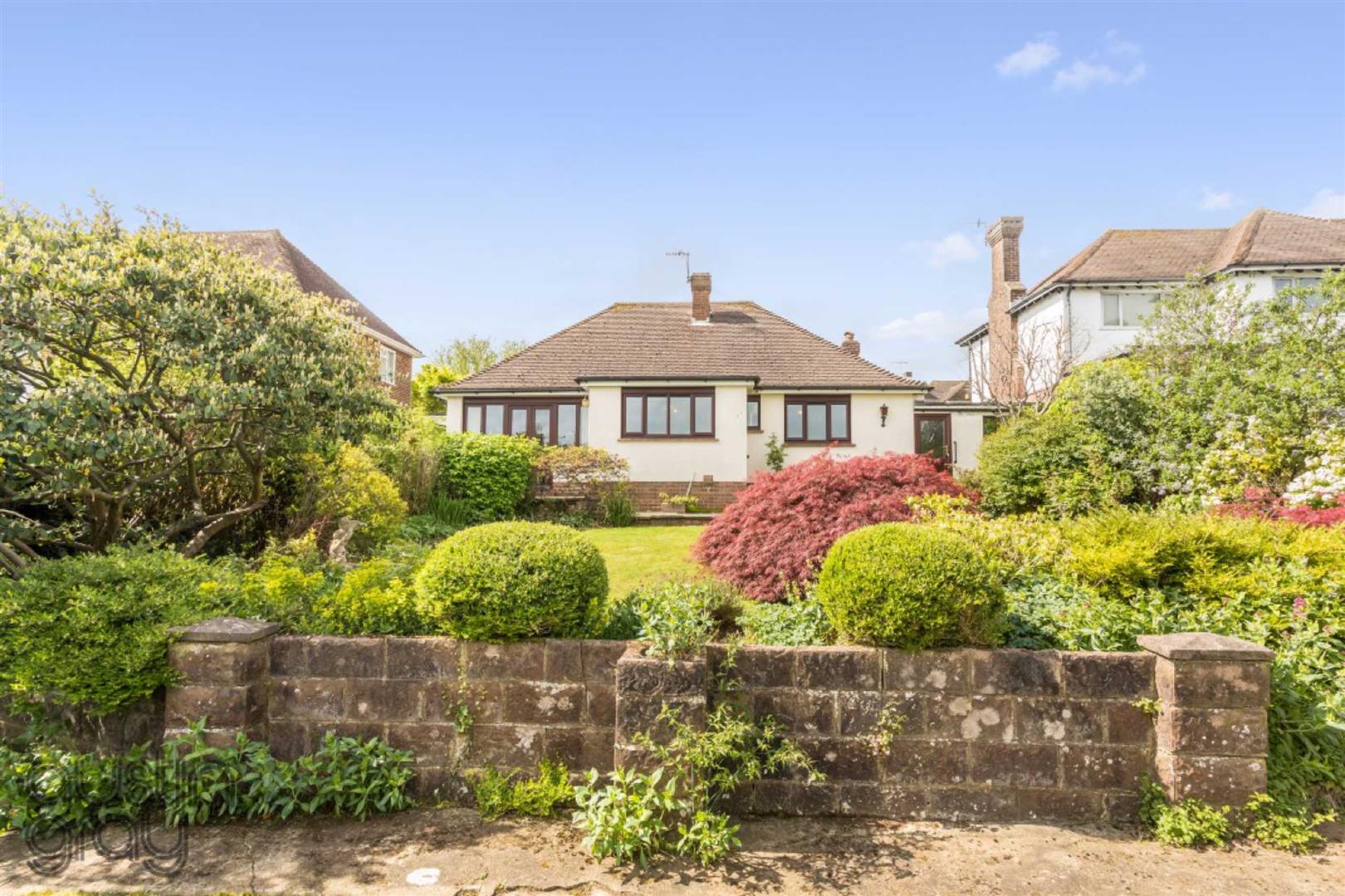 Wayland Avenue, Brighton Austin Gray